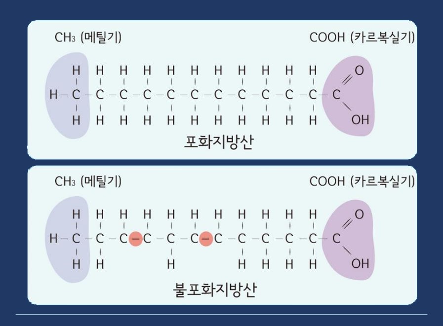 闪连官网-稳定高速加密网络访服务 全球玩家社区交流